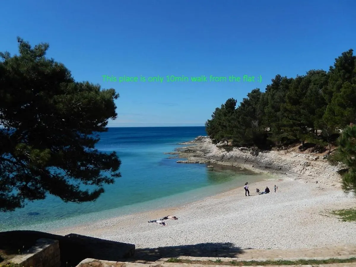 Great Flat Few Minutes From The Beach! Pula Apartment